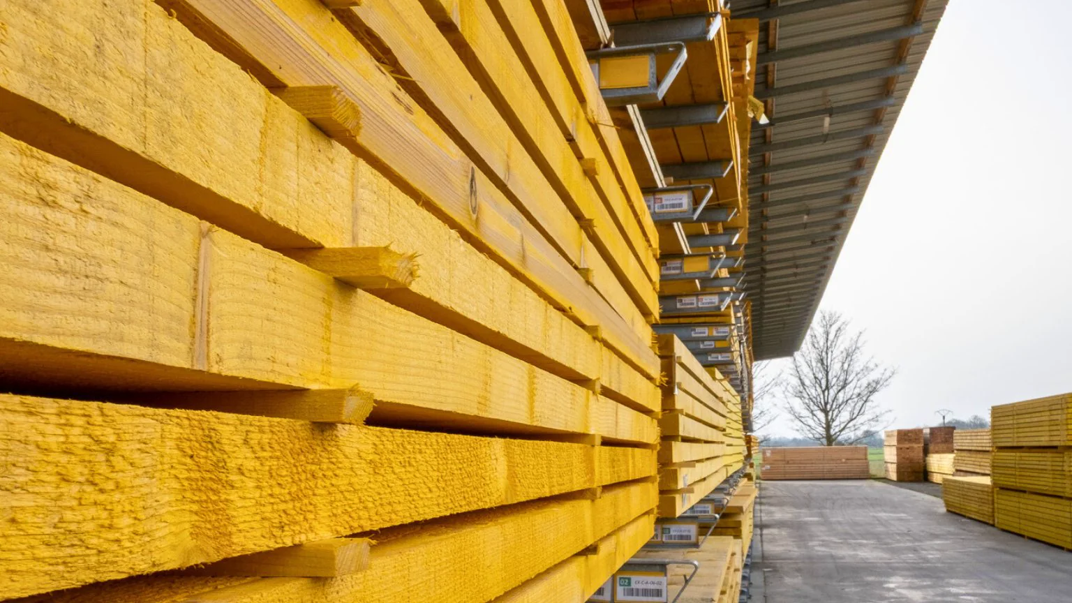 Stock de bois dans les locaux de la coopérative ABCR